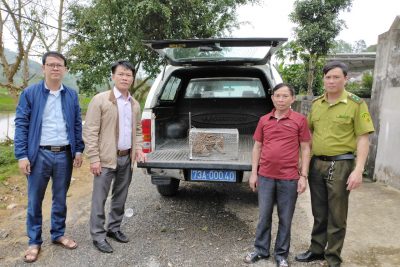 Tiếp nhận động vật hoang dã nguy cấp, quý hiếm từ người dân để chăm sóc, cứu hộ và thả về môi trường tự nhiên