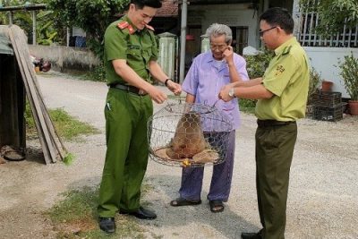 Tiếp nhận động vật hoang dã để cứu hộ, chăm sóc và thả về môi trường tự nhiên