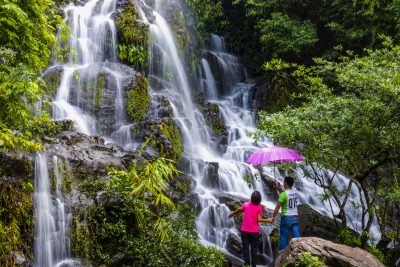 Thông báo Điểm du lịch sinh thái và diễn giải môi trường Vườn thực vật mở cửa đón khách trở lại sau dịch Covid-19