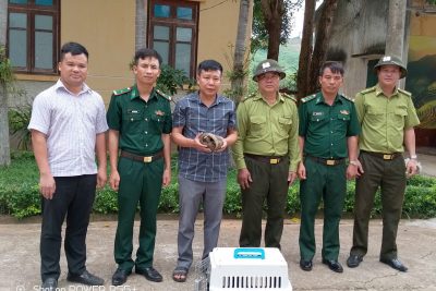 Tiếp nhận động vật hoang dã nguy cấp, quý, hiếm, được ưu tiên bảo vệ  để cứu hộ