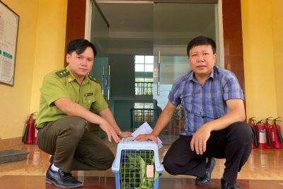 Tiếp nhận động vật hoang dã nguy cấp, quý, hiếm để cứu hộ