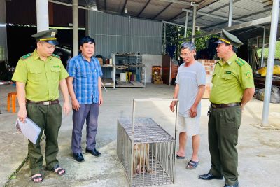 Hoạt động cứu hộ động vật hoang dã 6 tháng đầu năm 2025