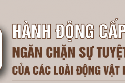 TIN TỔNG HỢP BẢO TỒN