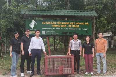 Tiếp nhận cá thể Khỉ đuôi lợn từ Trung tâm Cứu hộ Gấu Việt Nam