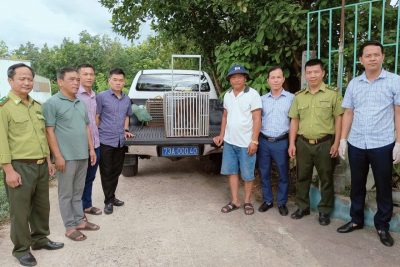 Tiếp nhận động vật hoang dã nguy cấp, quý, hiếm do các địa phương trong tỉnh bàn giao để cứu hộ
