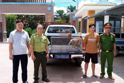 Phong Nha – Kẻ Bàng tiếp nhận nhiều cá thể động vật hoang dã nguy cấp, quý, hiếm để cứu hộ