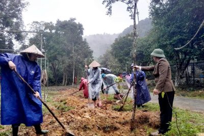 Trung tâm Cứu hộ, bảo tồn và Phát triển sinh vật tổ chức “Tết trồng cây đời đời nhớ ơn Bác Hồ” Xuân Ất Tỵ 2025